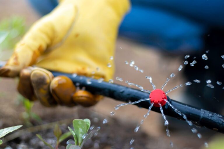 Gestion responsable de l’eau sur les espaces extérieurs de l’entreprise
