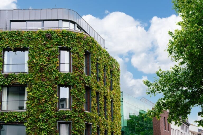 Toitures et façades végétalisées